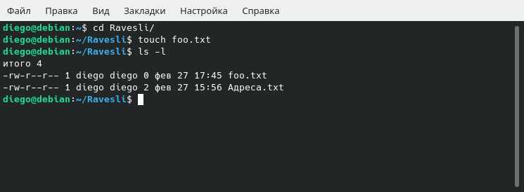 Как создать пустой файл в bash Как создать пустой файл в bash