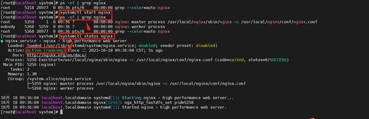 Удаление пользовательских данных и журналов Nginx