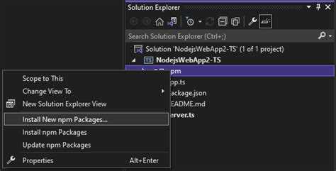 Как установить определенную версию пакета npm