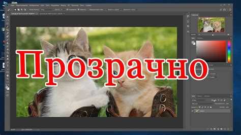 Как сохранить фото с прозрачным фоном в формате PNG