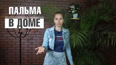 Осмотр электропроводки и клемм подключения питания