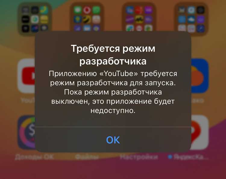 Вход в настройки разработчика и включение нужных функций