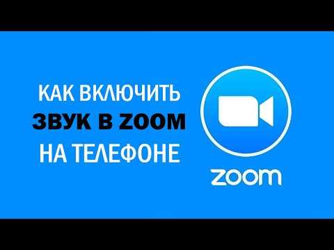 Как включить звук в зуме на телефоне Как включить звук в зуме на телефоне
