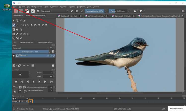 Как сохранить проект с вставленным изображением