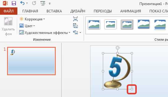 Выбор подходящего PNG файла для презентации