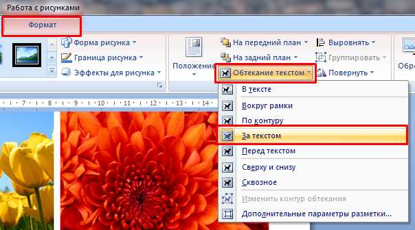 Вставка изображения из интернета в документ
