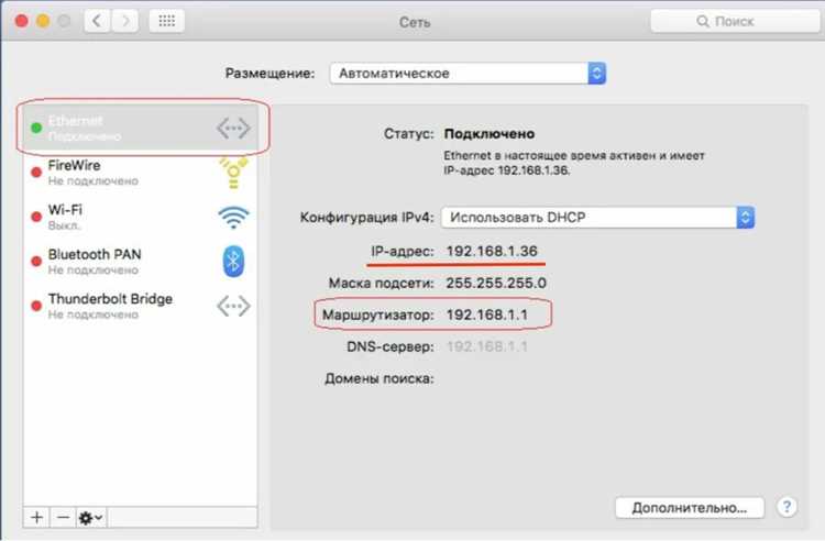 Сравнение MAC адреса в терминале и настройках системы