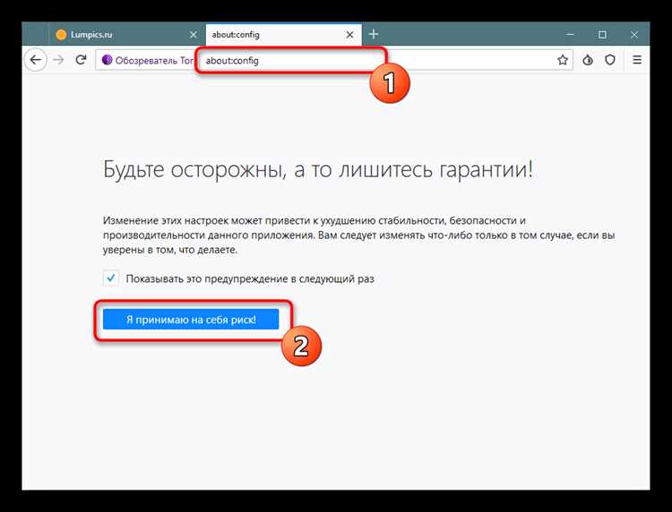 Проверка внешнего IP через веб-интерфейс TorrServer