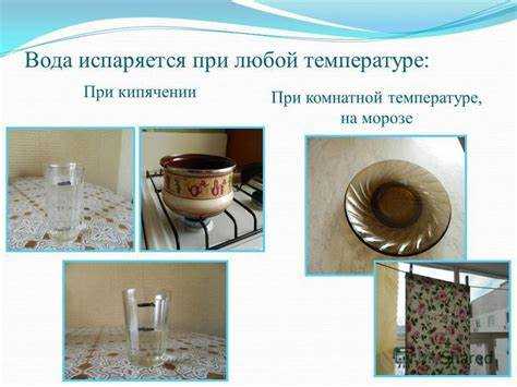 Зависимость испарения воды от площади поверхности
