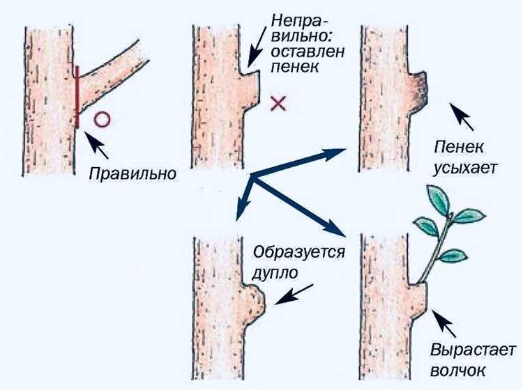 Срезы и управление памятью