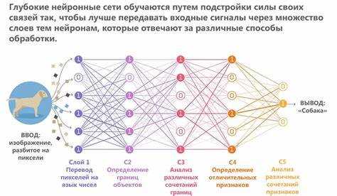 Классификация изображений и объектов в реальном времени