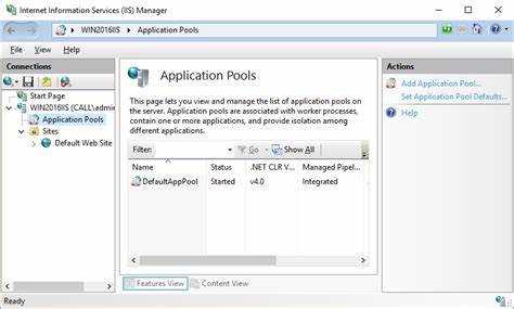 Application pool iis что это Application pool iis что это