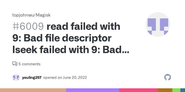 Причины появления Bad file descriptor при работе с файловыми дескрипторами