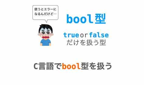 Bool c что это