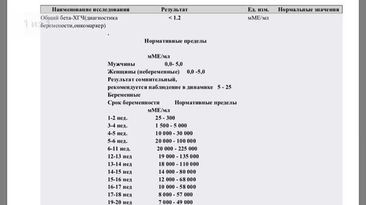 Формирование ICMP-пакета вручную при работе через raw-сокет