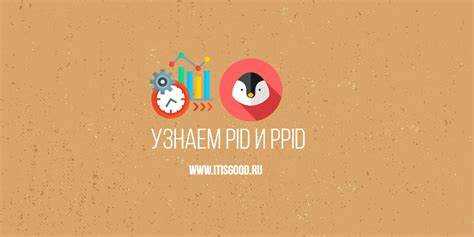 C как узнать pid процесса