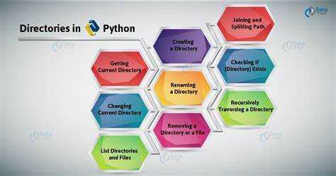 Dir в Python: что это и как используется