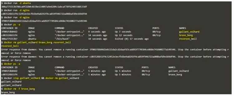 Docker run rm и v – что делают эти параметры