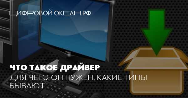 Разница между «драйверы» и «драйвера» в технической документации