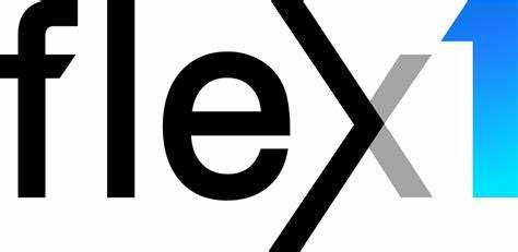 Разница между flex: 1 1 auto и другими комбинациями flex
