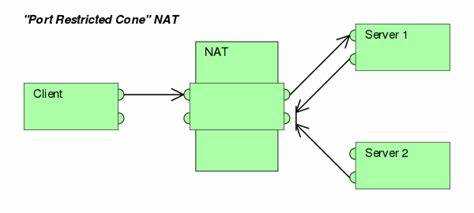 Что такое Full cone NAT и как его распознать в сети