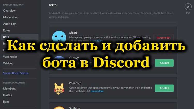 Как добавить бота vexera в дискорд
