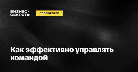 Как эффективно управлять командой
