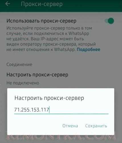 Тестирование работы прокси с разных клиентов