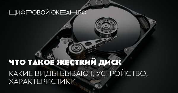 Рекомендации по выбору названия для внешнего жесткого диска