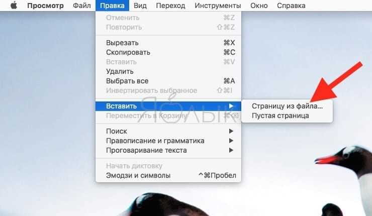Как объединить файлы csv в один файл