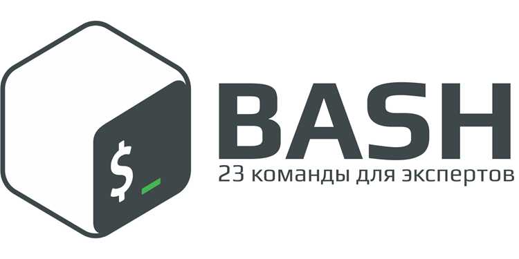 Запуск bash из графического интерфейса