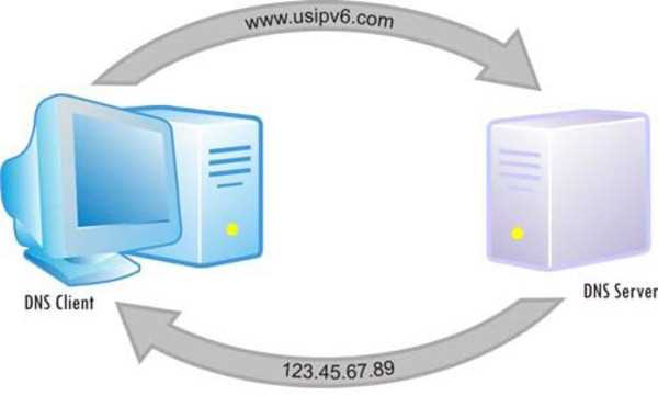 Создание UDP-сокета для передачи DNS-запроса