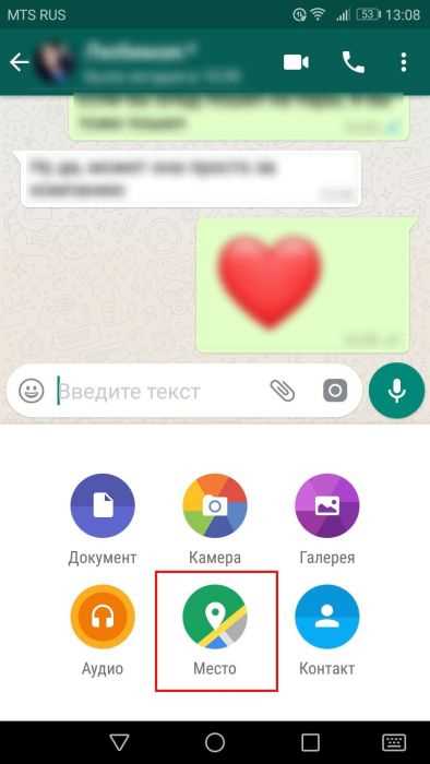 Проверка обновлений Zenly перед отправкой сообщения
