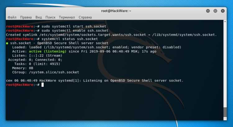 Как подключиться к интернету kali linux Как подключиться к интернету kali linux