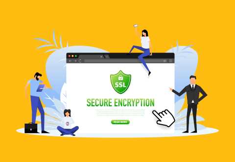 Установка SSL сертификата на сервере Apache и Nginx