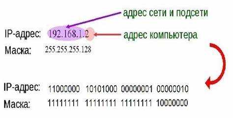 Сканирование сети с помощью утилиты nmap