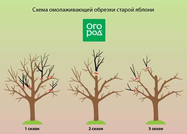 Как применить метод split_at для разделения на основе индекса