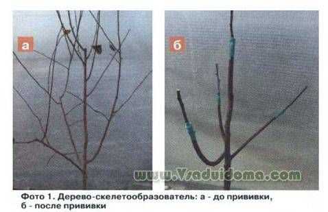 Оптимизация разделения дерева с учётом памяти