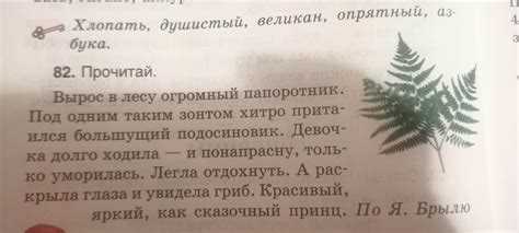Как разделить текст горизонтальной чертой
