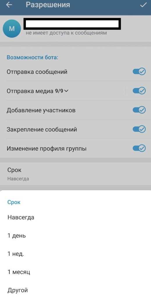Проверка прав администратора для изменения настроек чата
