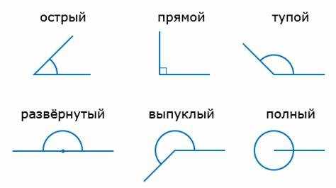 Использование CSS-свойства border-radius для элементов