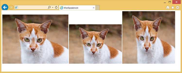 Применение свойства transform: scale() к элементам