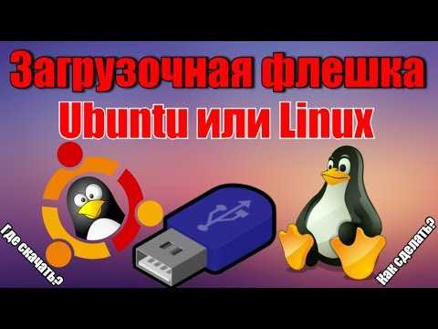 Настройка рабочего окружения и предустановленных пакетов