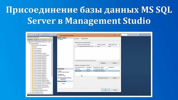 Обработка ошибок при удалении базы данных