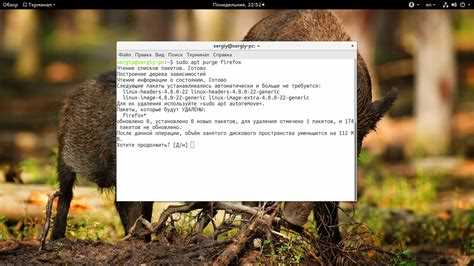 Определение версии Ubuntu и менеджера пакетов