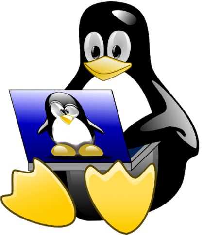 Проверка текущей версии ядра Ubuntu