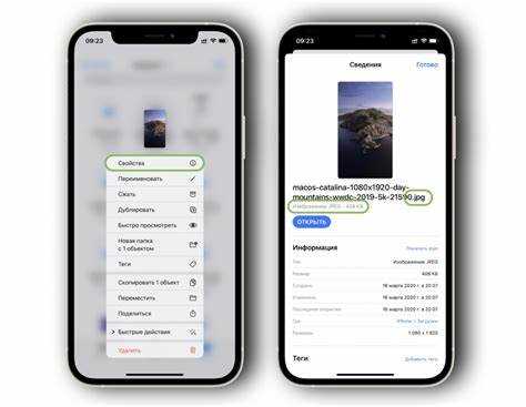 Удаление файлов по расширению в macOS через Finder и терминал
