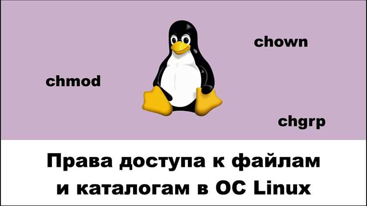 Как увеличить размер корневого каталога linux Как увеличить размер корневого каталога linux