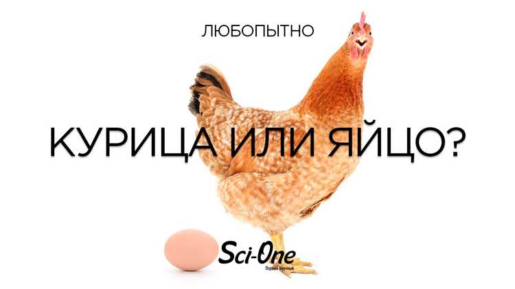 Обозначения куриных частей туши, характерные для петербургских прилавков