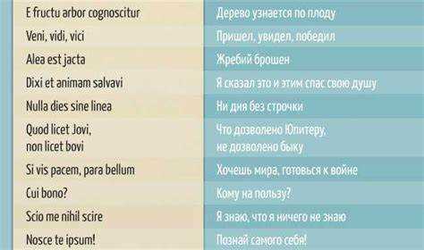 Использование карточек и приложений для повторения